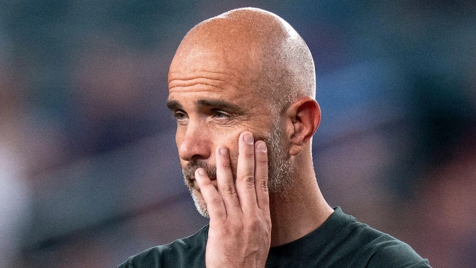 里引进一位, 里卡多 里引进一位, 里卡多